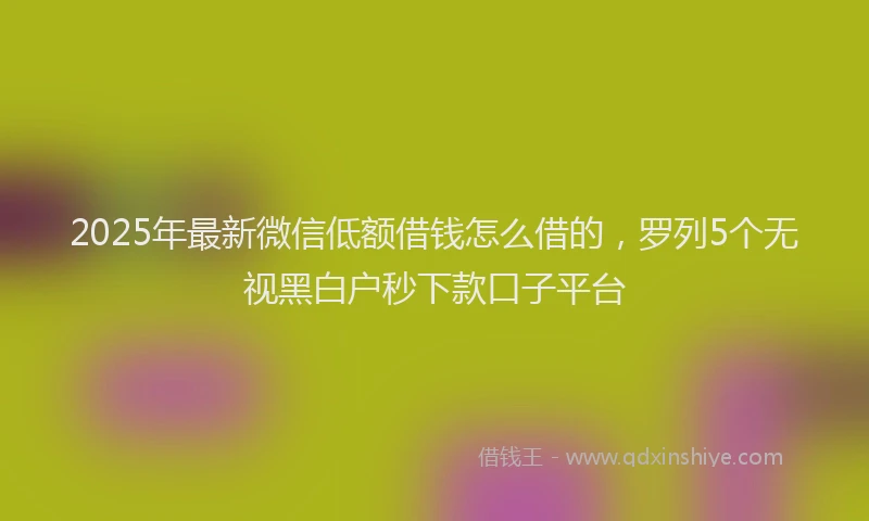 2025年最新微信低额借钱怎么借的，罗列5个无视黑白户秒下款口子平台