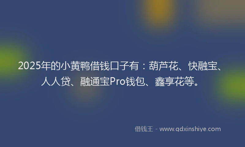 2025年的小黄鸭借钱口子有：葫芦花、快融宝、人人贷、融通宝Pro钱包、鑫享花等。