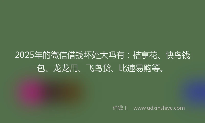 2025年的微信借钱坏处大吗有：桔享花、快鸟钱包、龙龙用、飞鸟贷、比速易购等。