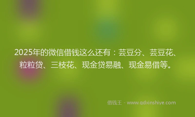 2025年的微信借钱这么还有：芸豆分、芸豆花、粒粒贷、三枝花、现金贷易融、现金易借等。
