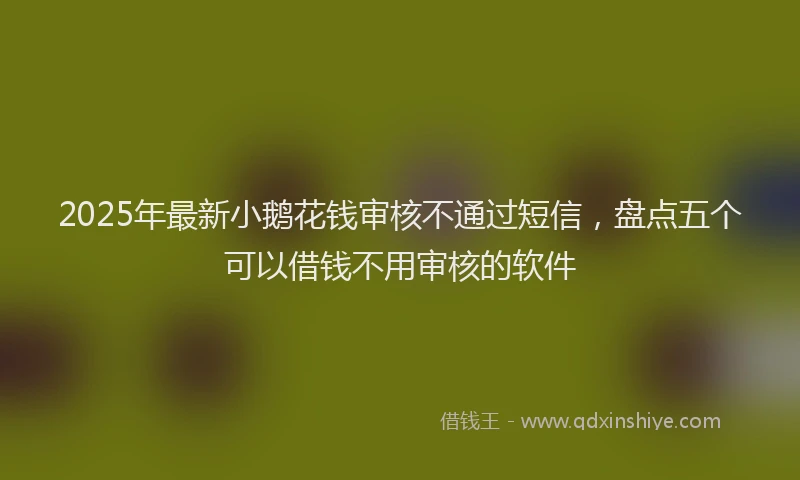 2025年最新小鹅花钱审核不通过短信，盘点五个可以借钱不用审核的软件