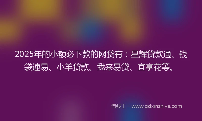 2025年的小额必下款的网贷有：星辉贷款通、钱袋速易、小羊贷款、我来易贷、宜享花等。