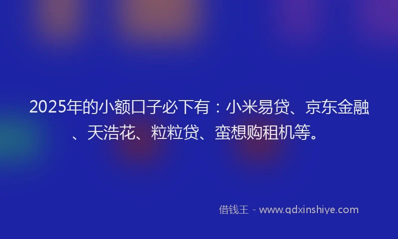 2025年的小额口子必下有：小米易贷、京东金融、天浩花、粒粒贷、蛮想购租机等。