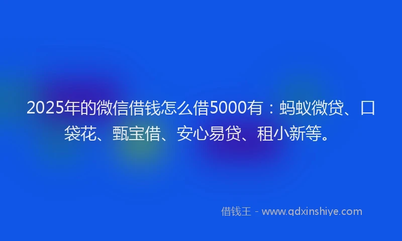 2025年的微信借钱怎么借5000有：蚂蚁微贷、口袋花、甄宝借、安心易贷、租小新等。