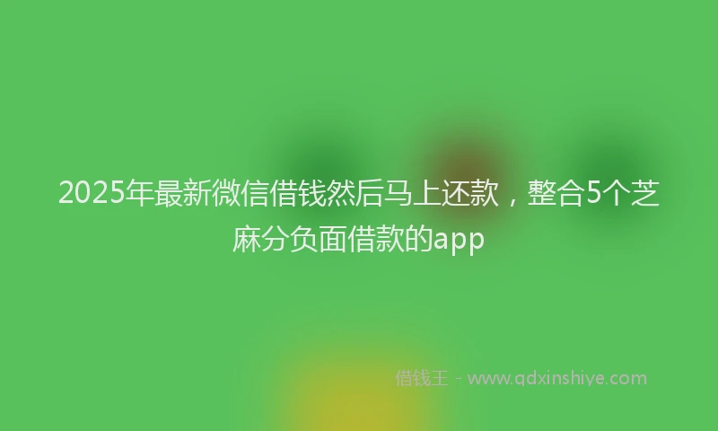 2025年最新微信借钱然后马上还款，整合5个芝麻分负面借款的app