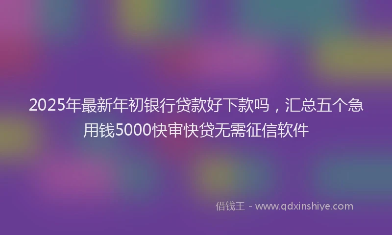 2025年最新年初银行贷款好下款吗，汇总五个急用钱5000快审快贷无需征信软件