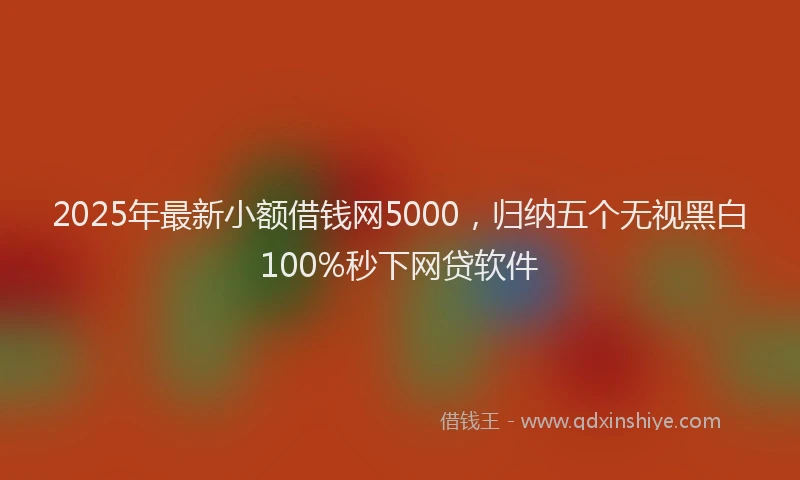 2025年最新小额借钱网5000，归纳五个无视黑白100%秒下网贷软件