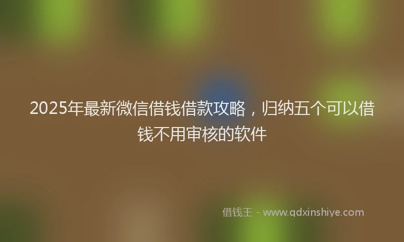 2025年最新微信借钱借款攻略，归纳五个可以借钱不用审核的软件