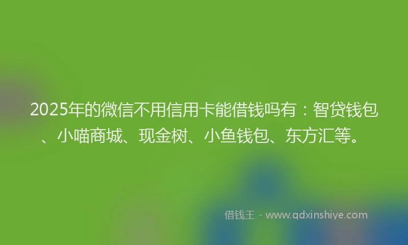 2025年的微信不用信用卡能借钱吗有：智贷钱包、小喵商城、现金树、小鱼钱包、东方汇等。