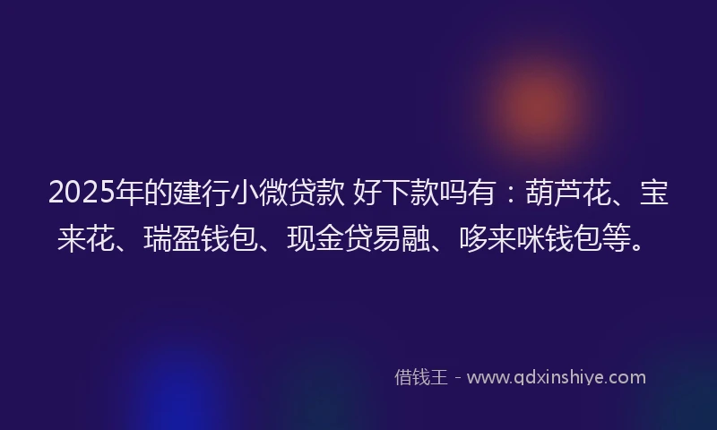 2025年的建行小微贷款 好下款吗有：葫芦花、宝来花、瑞盈钱包、现金贷易融、哆来咪钱包等。