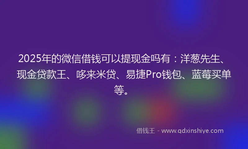 2025年的微信借钱可以提现金吗有：洋葱先生、现金贷款王、哆来米贷、易捷Pro钱包、蓝莓买单等。
