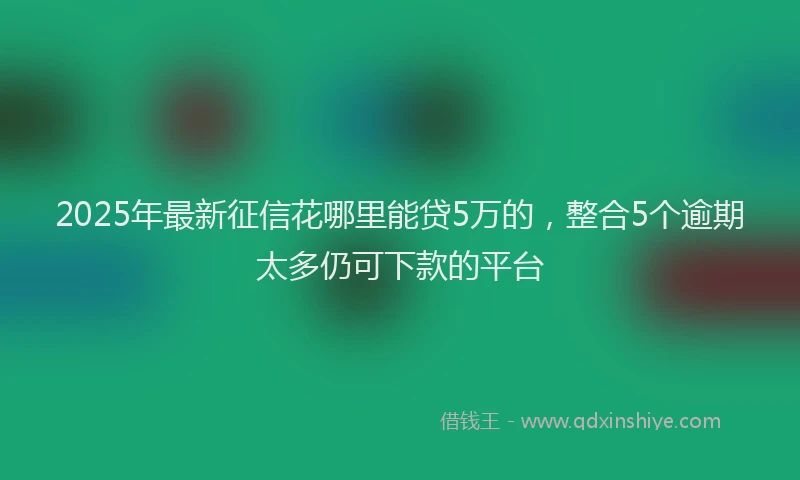 2025年最新征信花哪里能贷5万的，整合5个逾期太多仍可下款的平台