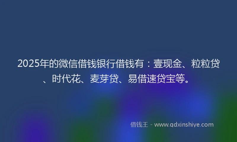 2025年的微信借钱银行借钱有：壹现金、粒粒贷、时代花、麦芽贷、易借速贷宝等。