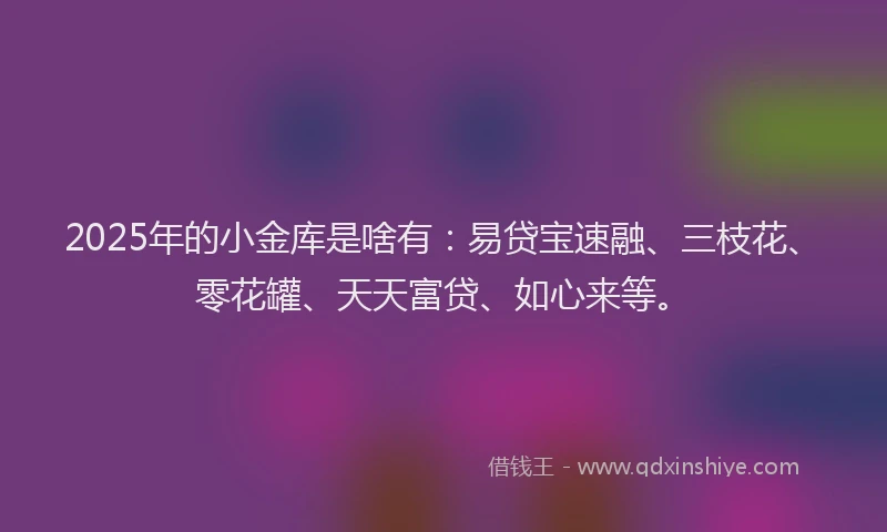 2025年的小金库是啥有：易贷宝速融、三枝花、零花罐、天天富贷、如心来等。