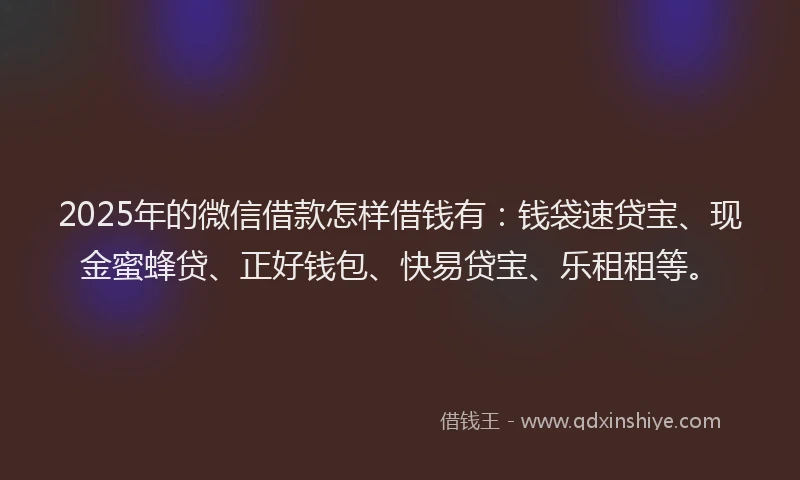 2025年的微信借款怎样借钱有：钱袋速贷宝、现金蜜蜂贷、正好钱包、快易贷宝、乐租租等。