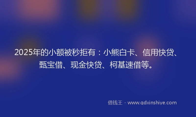 2025年的小额被秒拒有：小熊白卡、信用快贷、甄宝借、现金快贷、柯基速借等。