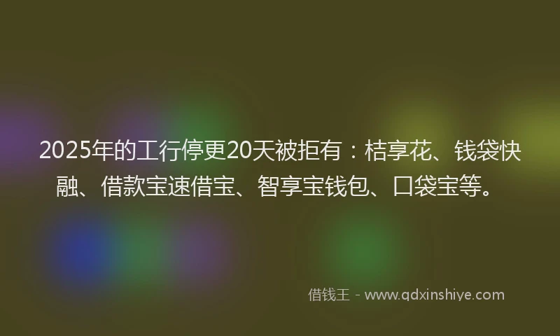2025年的工行停更20天被拒有：桔享花、钱袋快融、借款宝速借宝、智享宝钱包、口袋宝等。