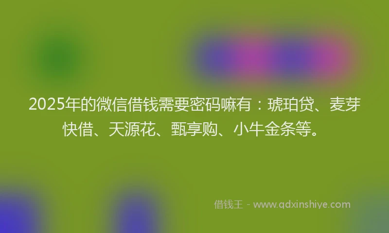2025年的微信借钱需要密码嘛有：琥珀贷、麦芽快借、天源花、甄享购、小牛金条等。