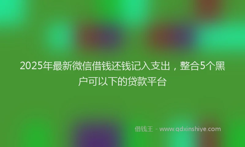 2025年最新微信借钱还钱记入支出，整合5个黑户可以下的贷款平台