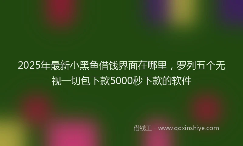 2025年最新小黑鱼借钱界面在哪里，罗列五个无视一切包下款5000秒下款的软件