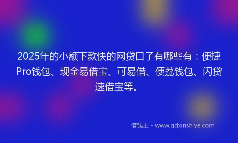 2025年的小额下款快的网贷口子有哪些有：便捷Pro钱包、现金易借宝、可易借、便荔钱包、闪贷速借宝等。