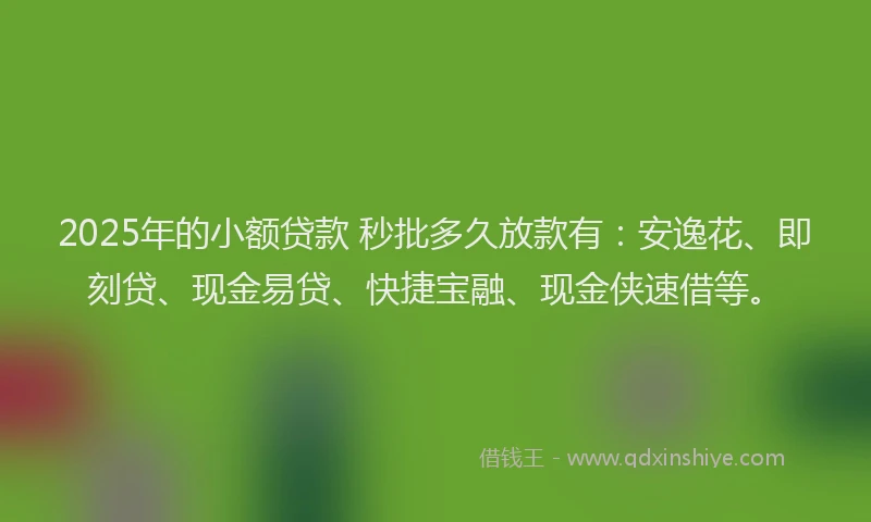 2025年的小额贷款 秒批多久放款有：安逸花、即刻贷、现金易贷、快捷宝融、现金侠速借等。