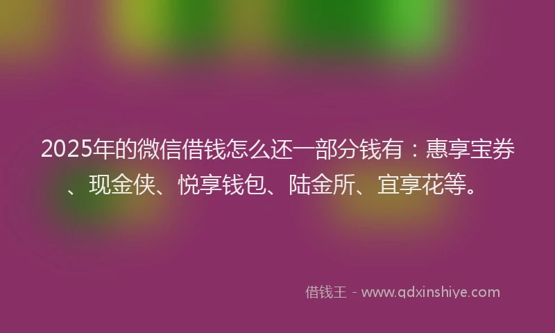 2025年的微信借钱怎么还一部分钱有：惠享宝券、现金侠、悦享钱包、陆金所、宜享花等。