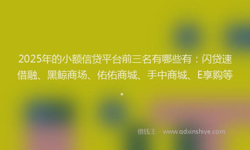 2025年的小额信贷平台前三名有哪些有：闪贷速借融、黑鲸商场、佑佑商城、手中商城、E享购等。