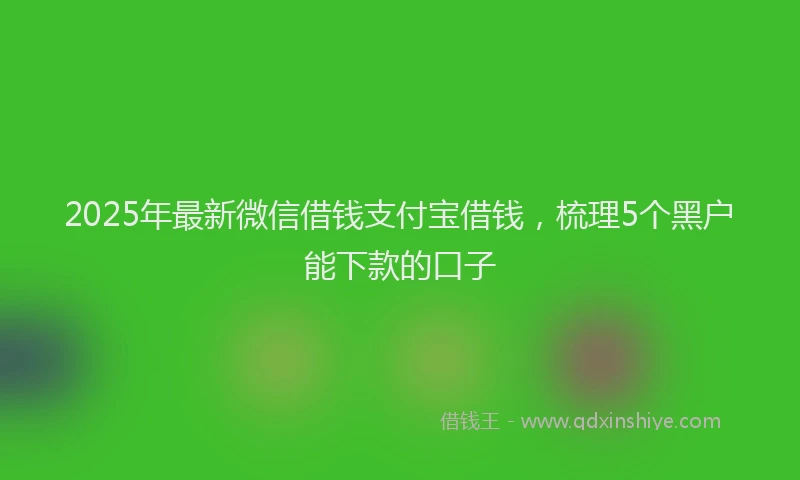 2025年最新微信借钱支付宝借钱，梳理5个黑户能下款的口子