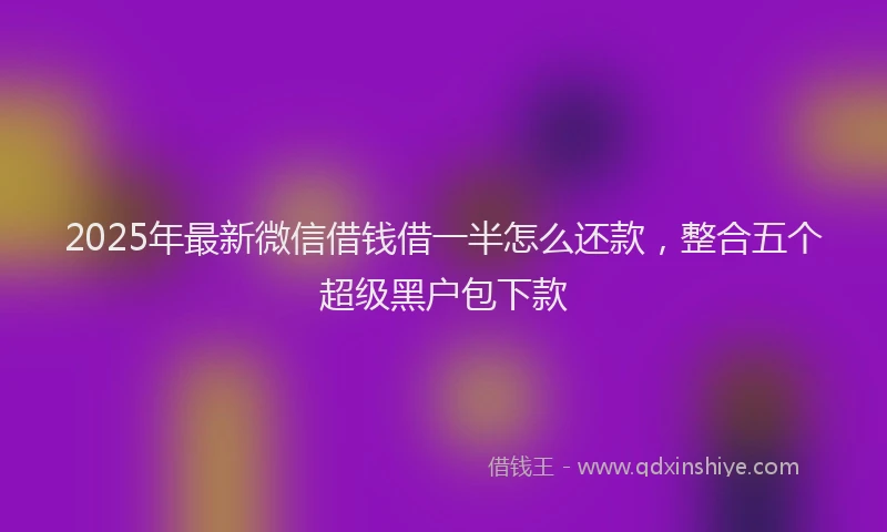 2025年最新微信借钱借一半怎么还款，整合五个超级黑户包下款