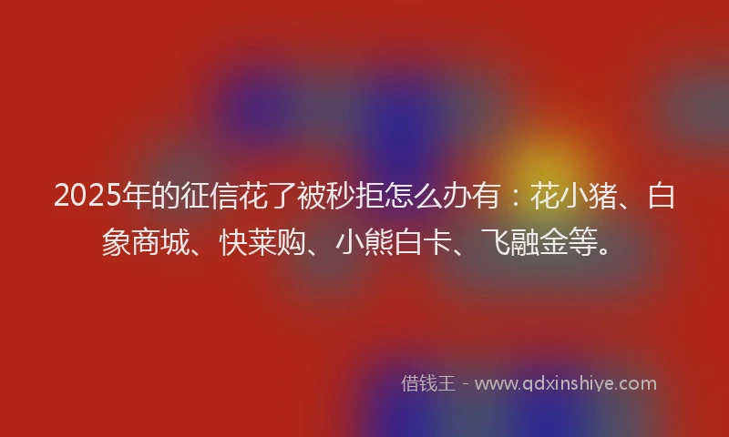 2025年的征信花了被秒拒怎么办有：花小猪、白象商城、快莱购、小熊白卡、飞融金等。