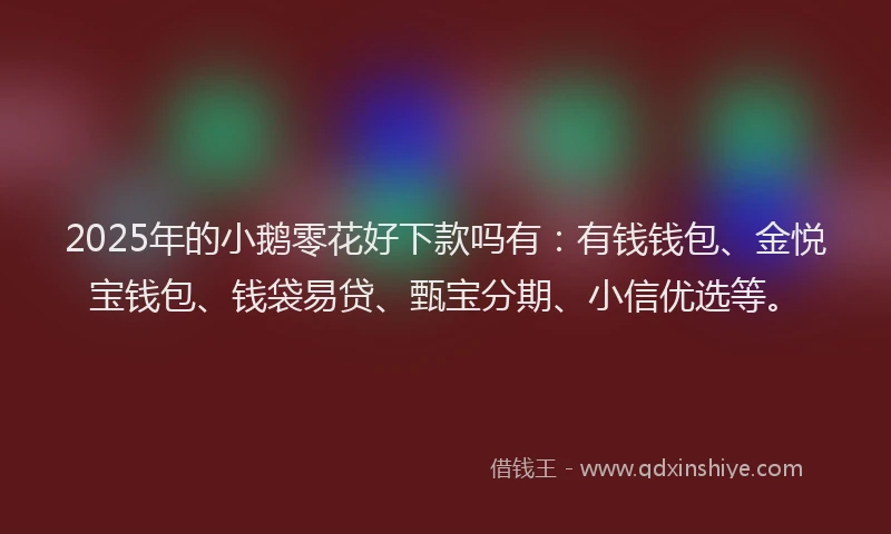2025年的小鹅零花好下款吗有：有钱钱包、金悦宝钱包、钱袋易贷、甄宝分期、小信优选等。