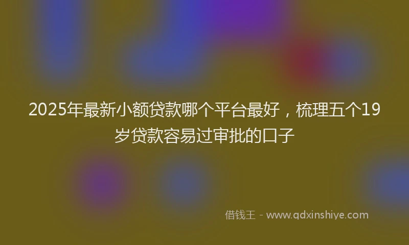 2025年最新小额贷款哪个平台最好，梳理五个19岁贷款容易过审批的口子
