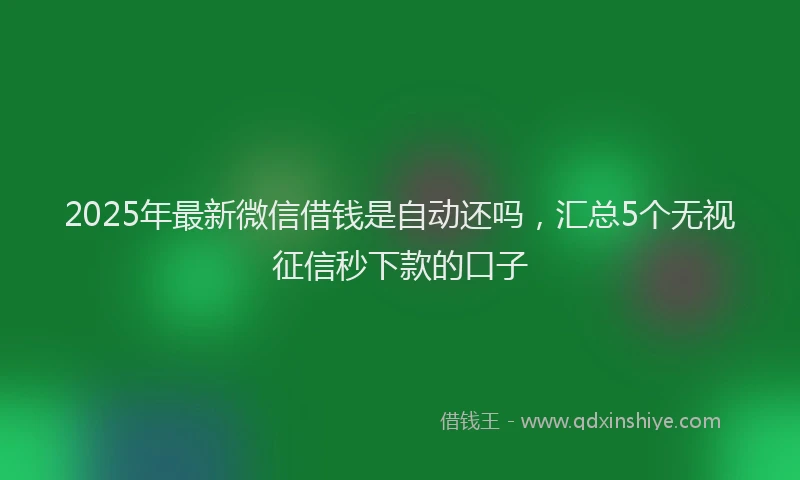 2025年最新微信借钱是自动还吗，汇总5个无视征信秒下款的口子