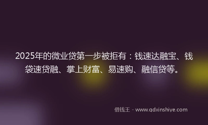 2025年的微业贷第一步被拒有：钱速达融宝、钱袋速贷融、掌上财富、易速购、融信贷等。