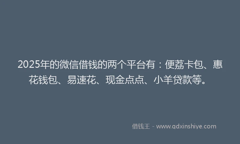 2025年的微信借钱的两个平台有：便荔卡包、惠花钱包、易速花、现金点点、小羊贷款等。