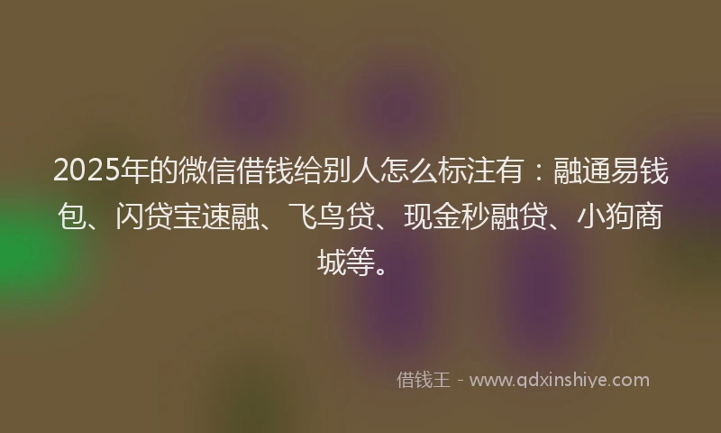 2025年的微信借钱给别人怎么标注有：融通易钱包、闪贷宝速融、飞鸟贷、现金秒融贷、小狗商城等。