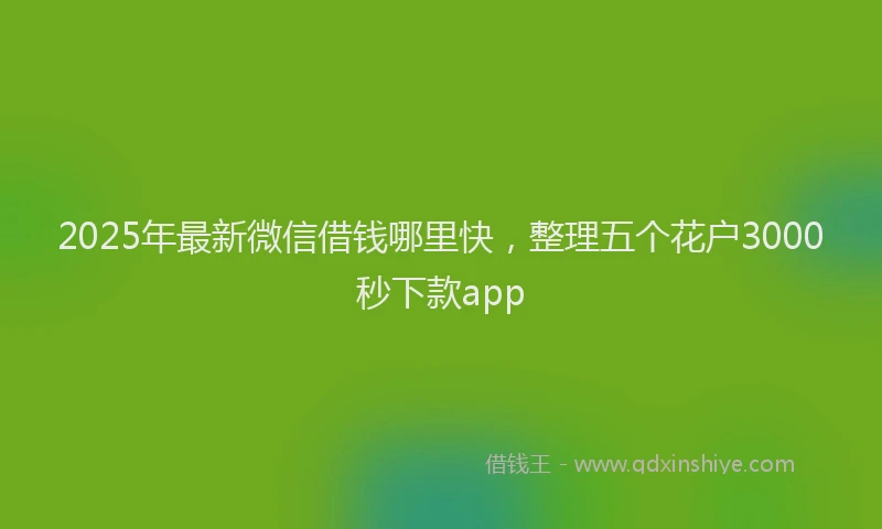 2025年最新微信借钱哪里快，整理五个花户3000秒下款app