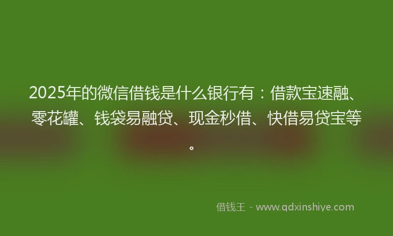 2025年的微信借钱是什么银行有：借款宝速融、零花罐、钱袋易融贷、现金秒借、快借易贷宝等。