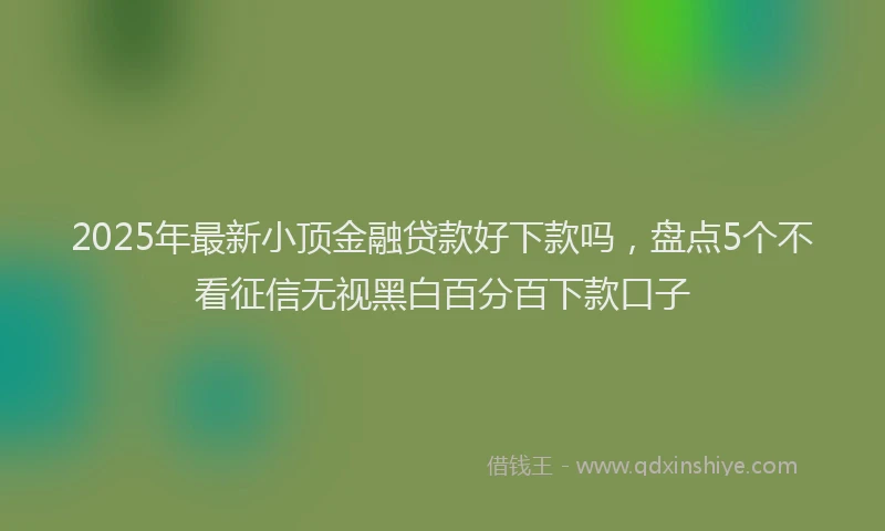 2025年最新小顶金融贷款好下款吗，盘点5个不看征信无视黑白百分百下款口子