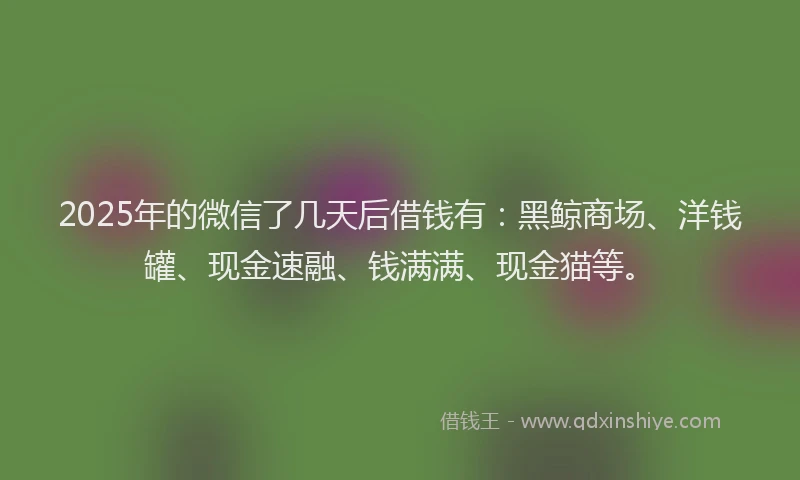 2025年的微信了几天后借钱有：黑鲸商场、洋钱罐、现金速融、钱满满、现金猫等。