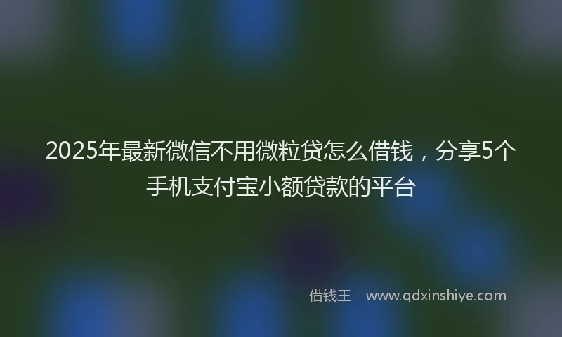 2025年最新微信不用微粒贷怎么借钱，分享5个手机支付宝小额贷款的平台