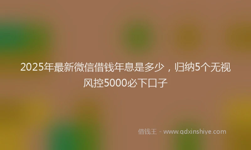 2025年最新微信借钱年息是多少，归纳5个无视风控5000必下口子