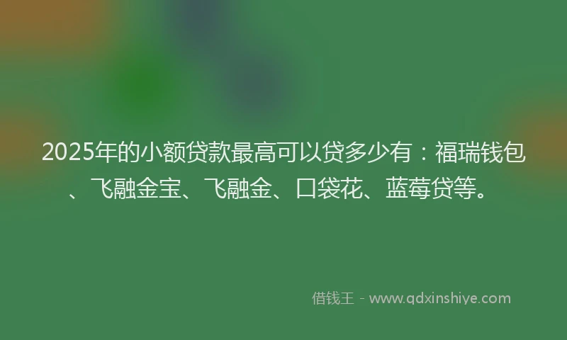 2025年的小额贷款最高可以贷多少有：福瑞钱包、飞融金宝、飞融金、口袋花、蓝莓贷等。