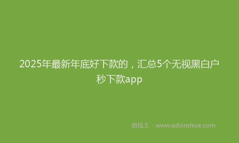2025年最新年底好下款的，汇总5个无视黑白户秒下款app