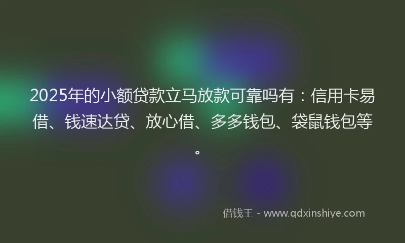 2025年的小额贷款立马放款可靠吗有：信用卡易借、钱速达贷、放心借、多多钱包、袋鼠钱包等。