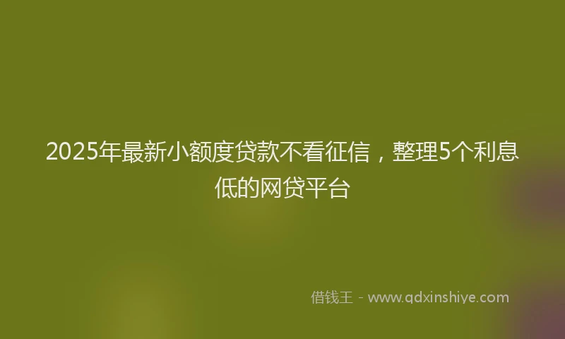 2025年最新小额度贷款不看征信，整理5个利息低的网贷平台
