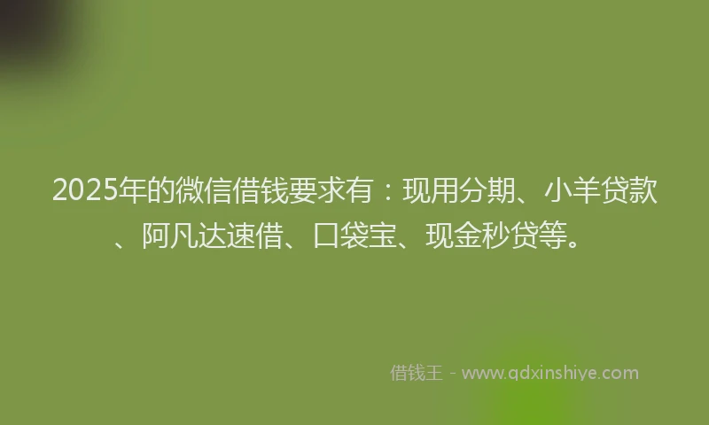 2025年的微信借钱要求有：现用分期、小羊贷款、阿凡达速借、口袋宝、现金秒贷等。