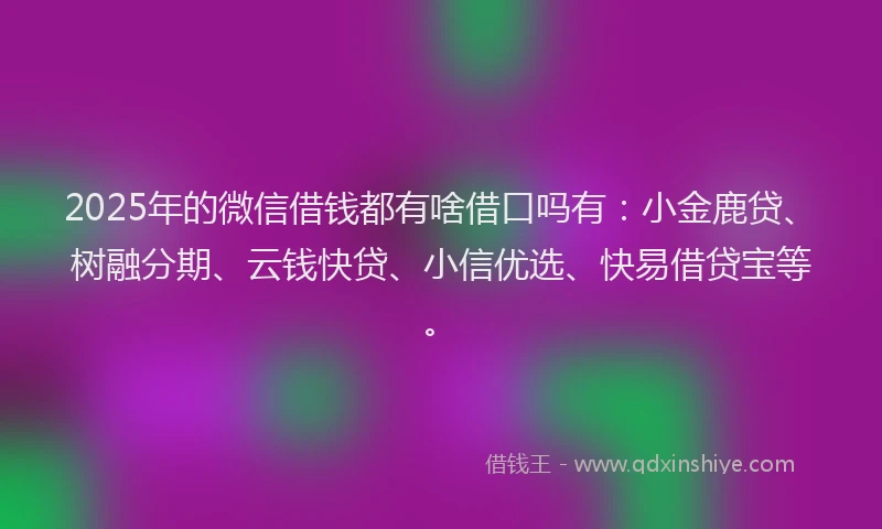 2025年的微信借钱都有啥借口吗有：小金鹿贷、树融分期、云钱快贷、小信优选、快易借贷宝等。
