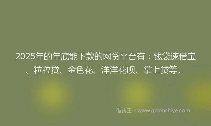 2025年的年底能下款的网贷平台有：钱袋速借宝、粒粒贷、金色花、洋洋花呗、掌上贷等。